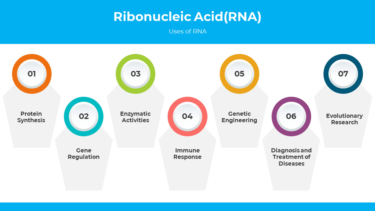 300872-ribonucleic-acid-04