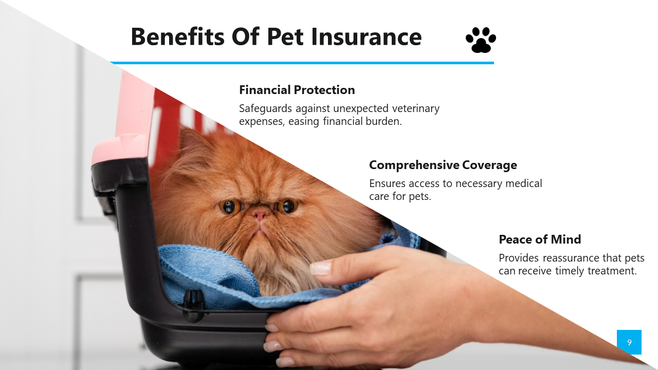 200797-pet-insurance-09