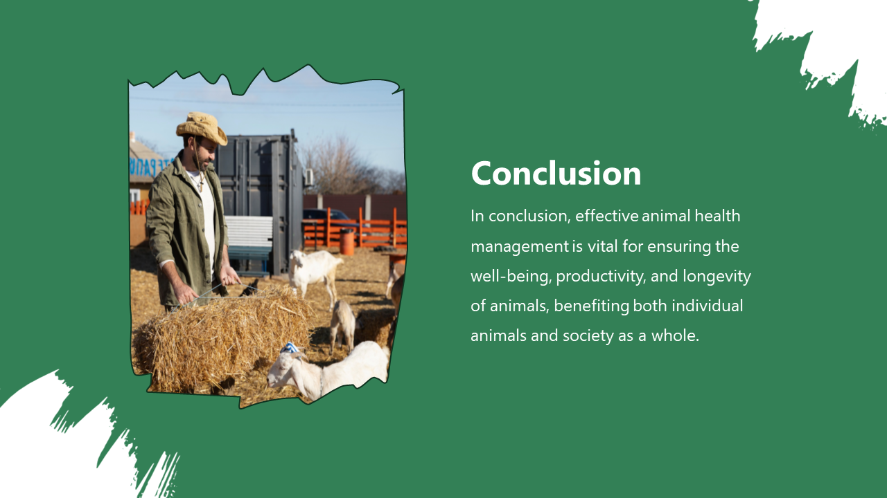 200832-animal-health-management-10