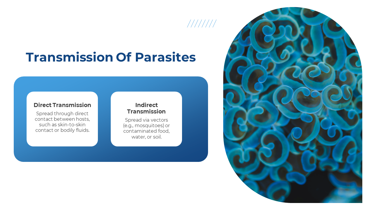 500786-parasite-07