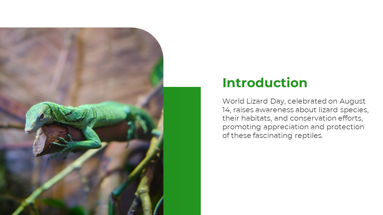 500827-world-lizard-day-02
