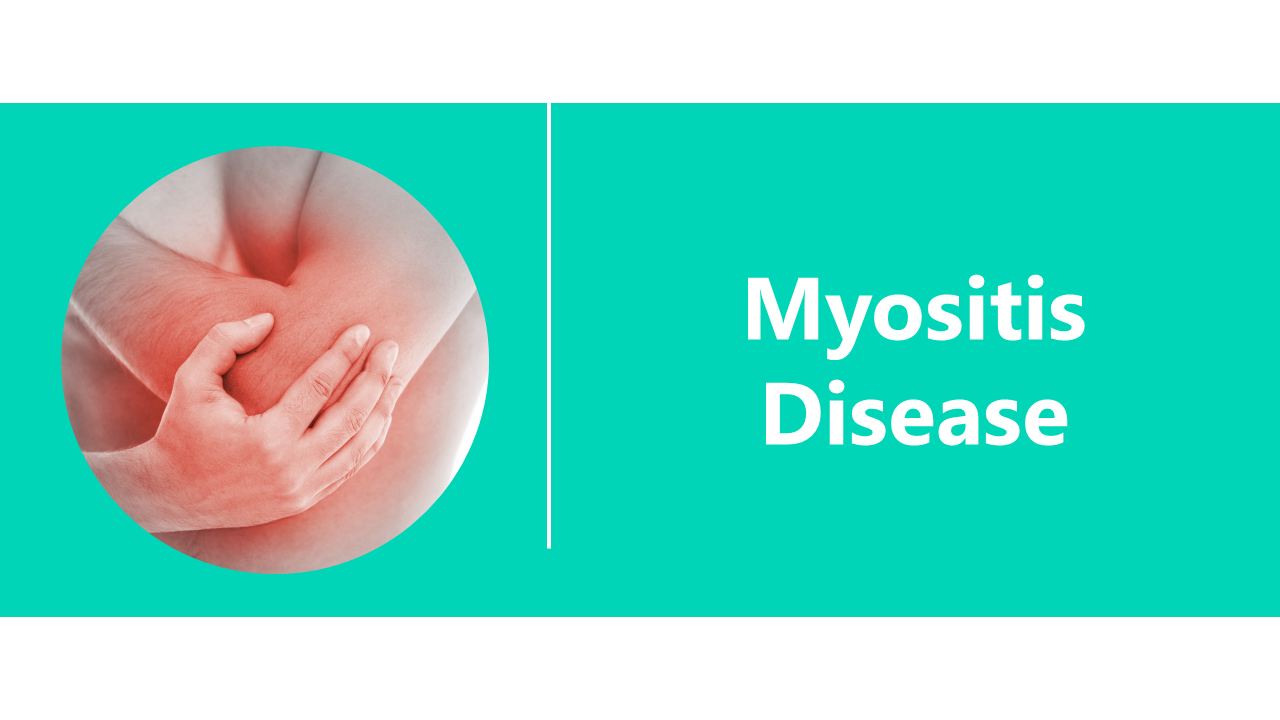 Myositis disease slide deck with teal and white theme, featuring muscle inflammation visuals and health infographics.