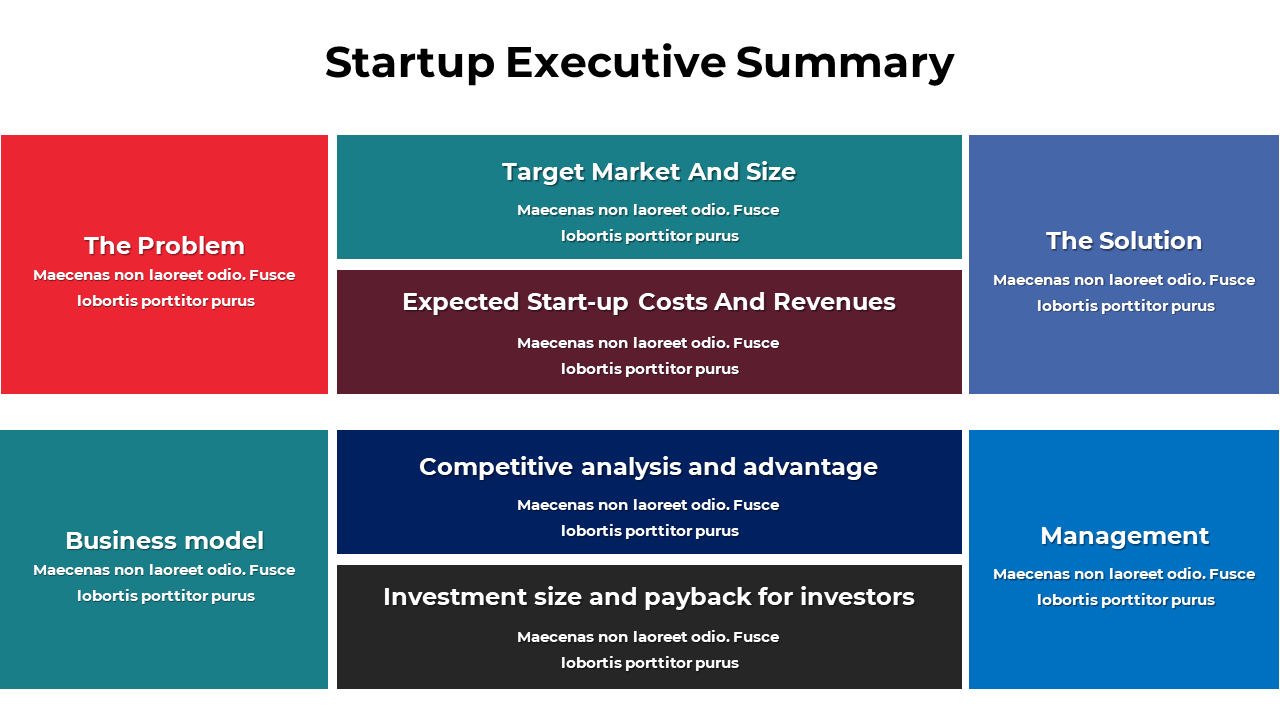 300940-startup-executive-summary-05