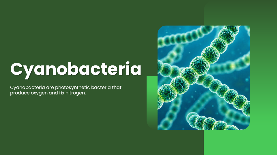 Cyanobacteria PowerPoint Presentation And Google Slides