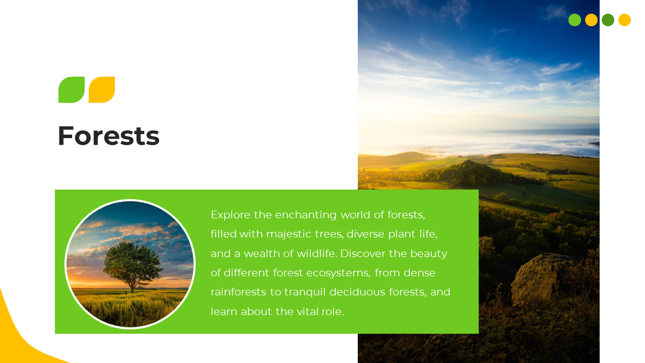 Bright slide with forest visuals, including a circular tree image, on a green text box, set against a white background.