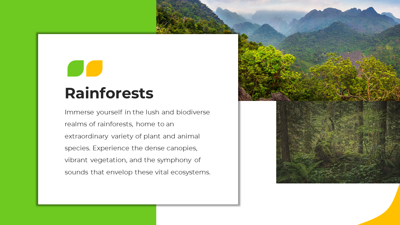 Slide with vibrant green and yellow accents, featuring rainforest images and a description about biodiversity.