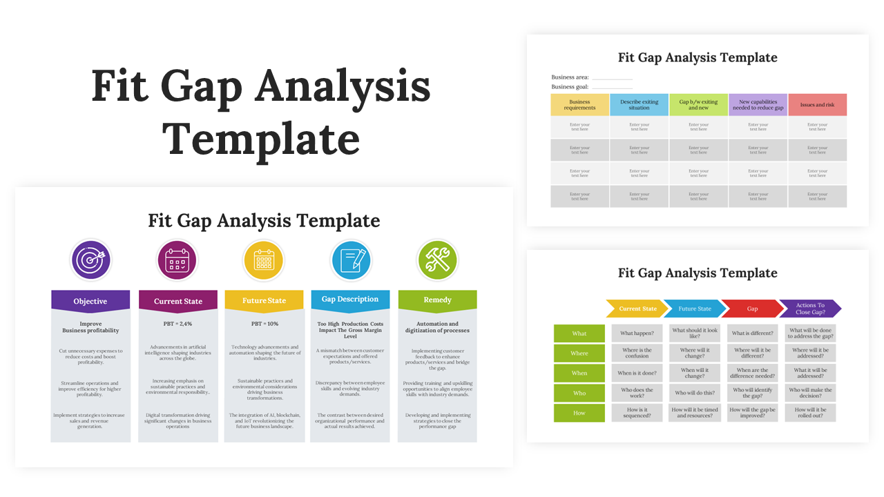 Fit Gap Analysis Template