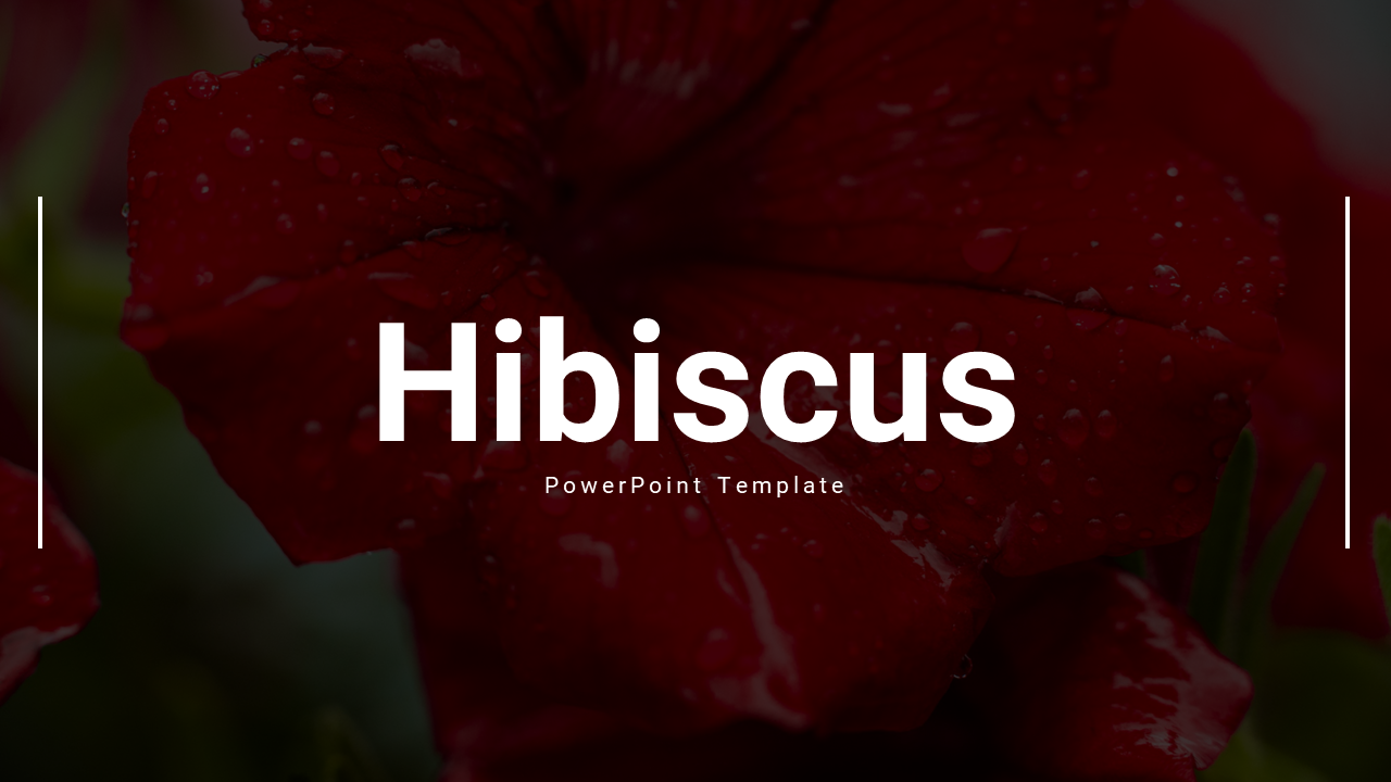 Hibiscus PowerPoint Presentation