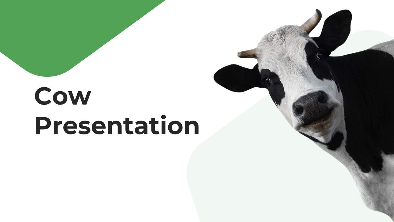 Cow PowerPoint Designs
