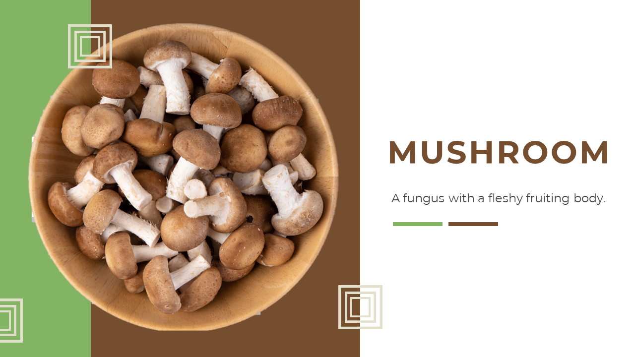 Mushroom PowerPoint Designs