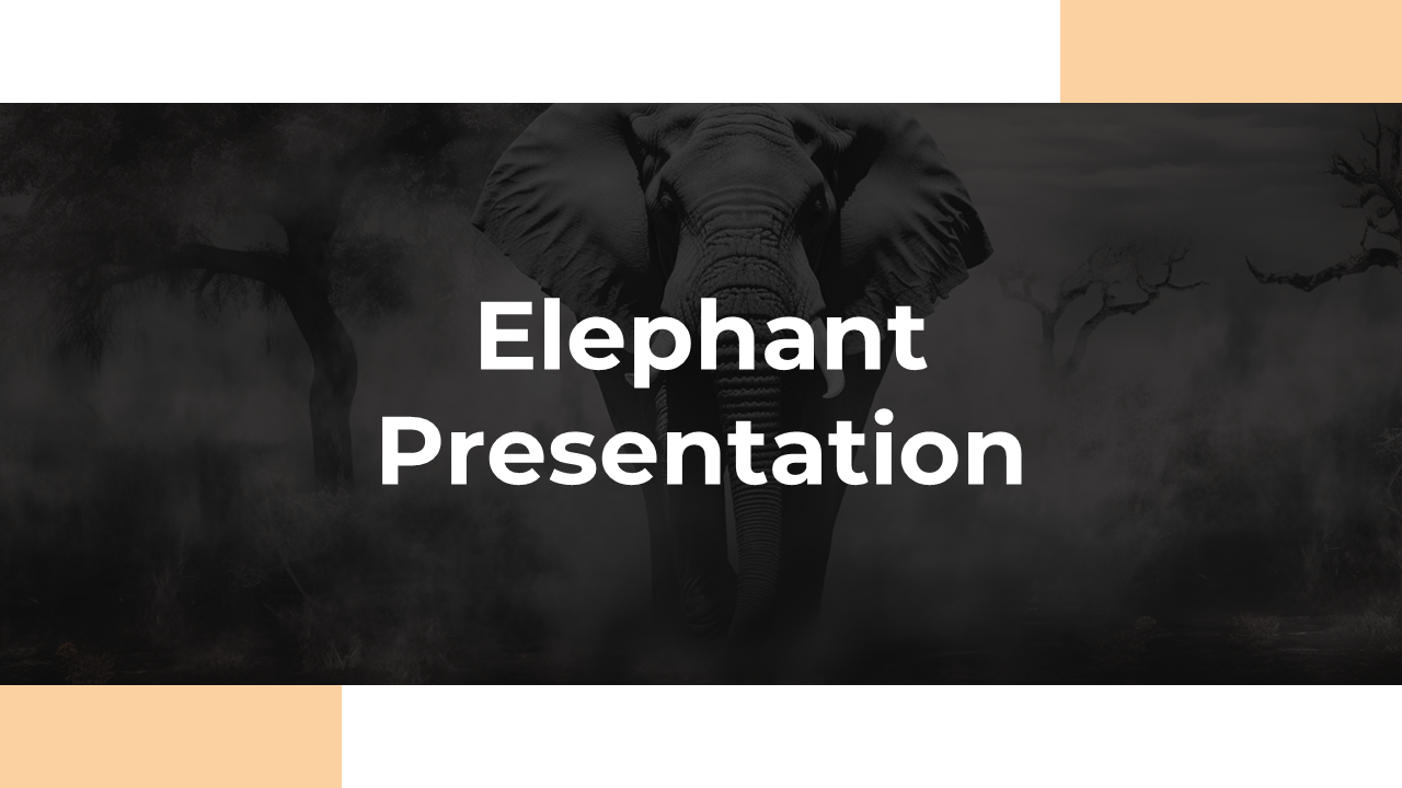 Elephant PPT Presentation