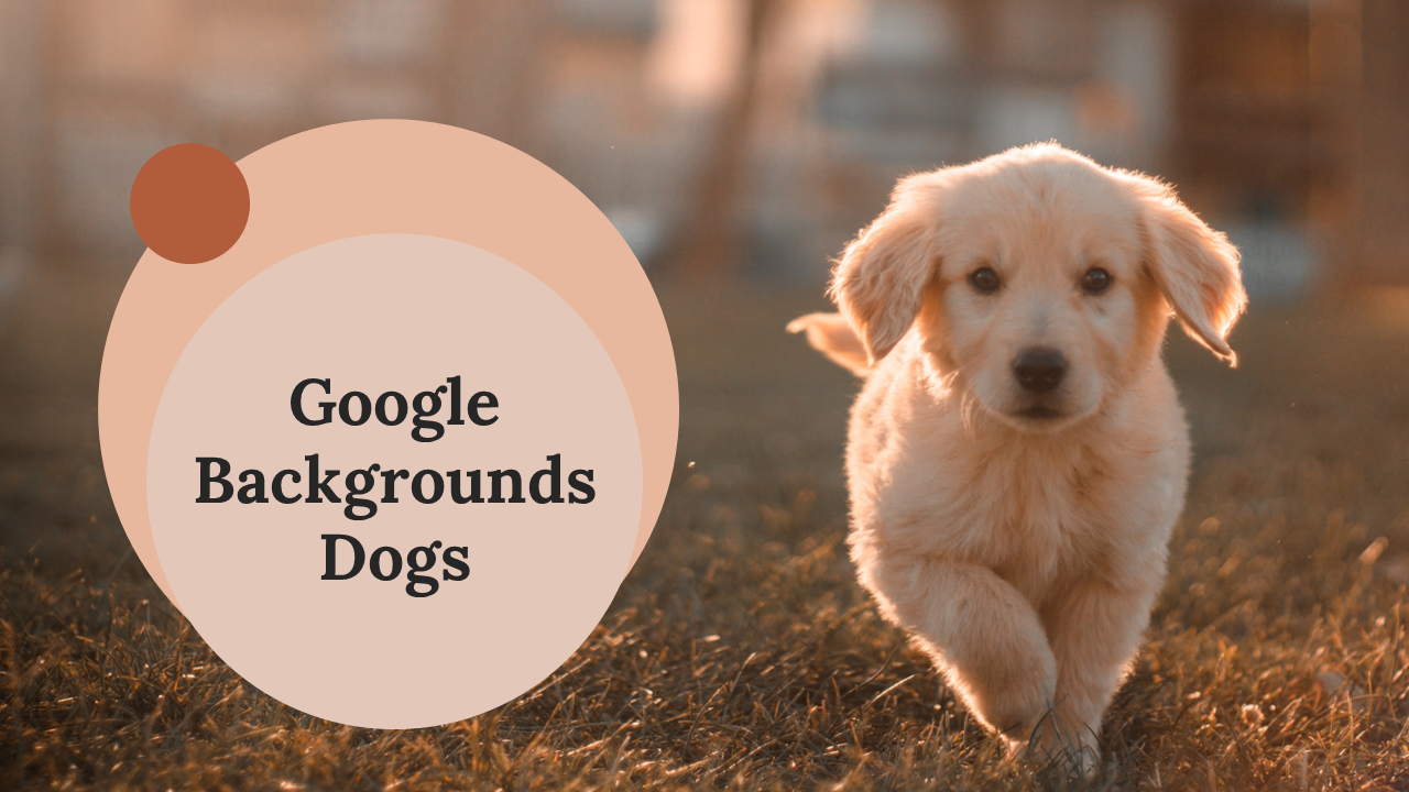 Google Backgrounds Dogs
