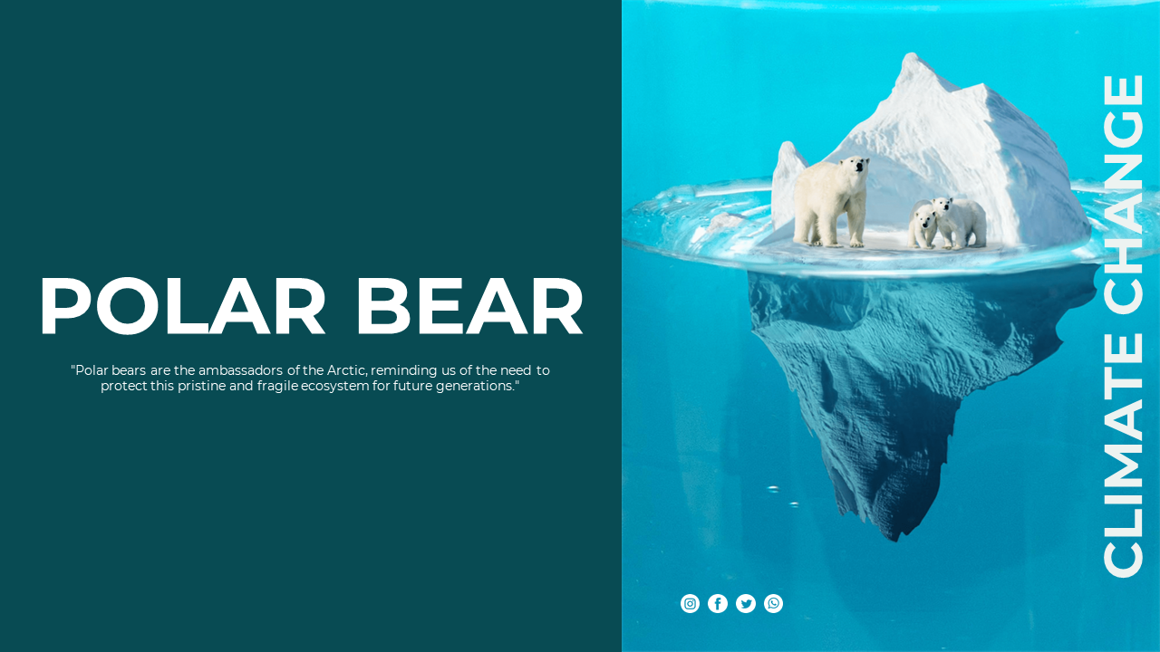 Polar Bear PowerPoint Template