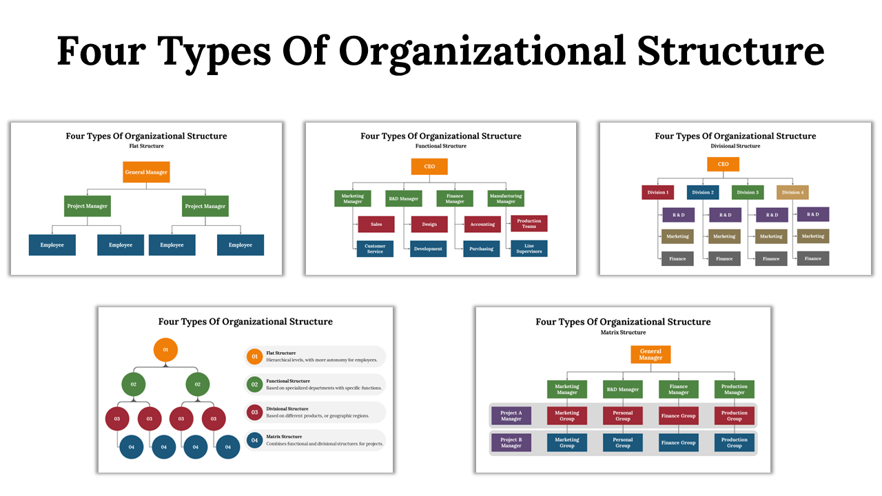 4 Types Of Organizational Structure