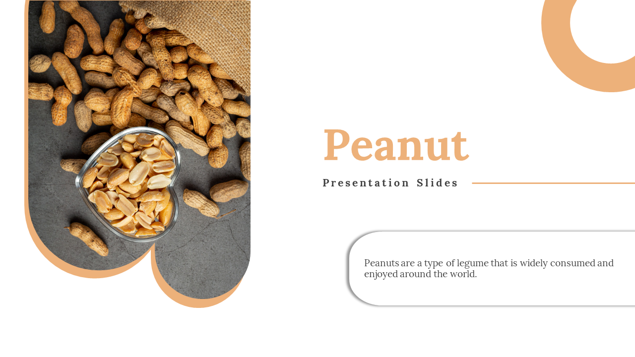 Peanuts Slides