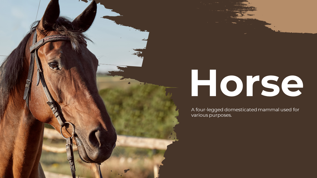 Horse Google Slides Template