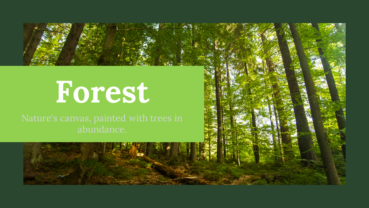 Forest Google Slides Theme