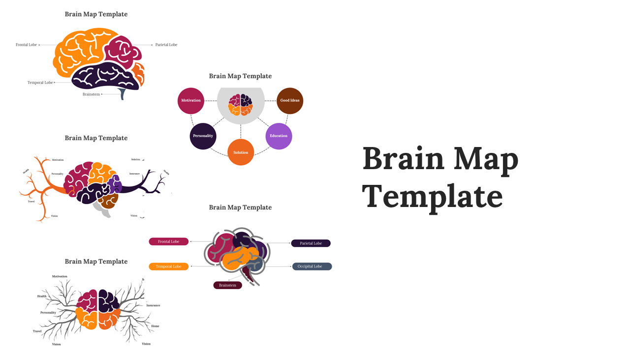 Brain Map Template