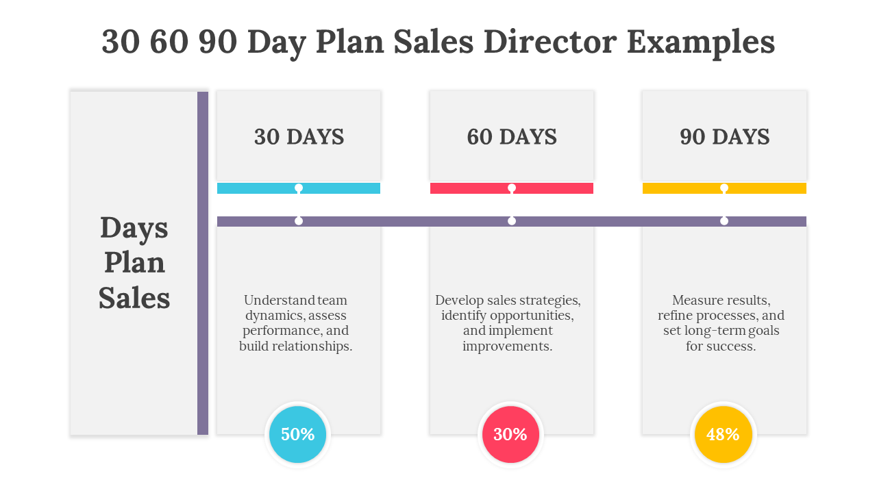 30 60 90 Day Plan Sales Director Examples