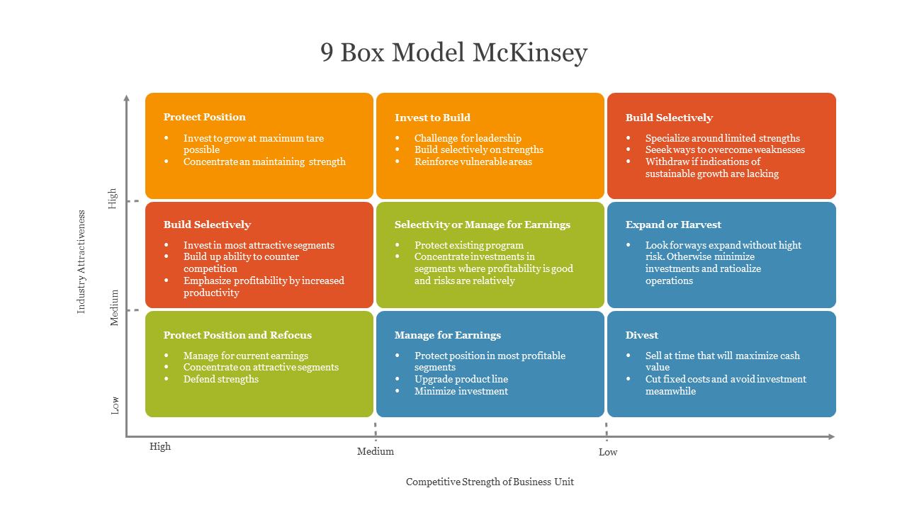 9 Box Model McKinsey