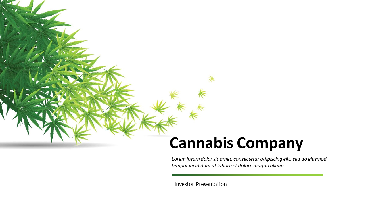 Cannabis Company Investor Pitch Deck