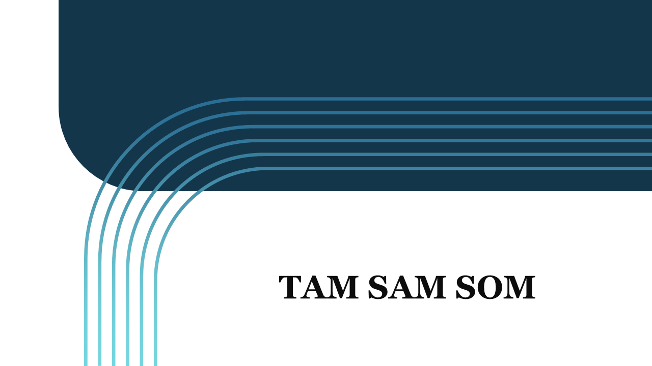 What Is TAM SAM SOM