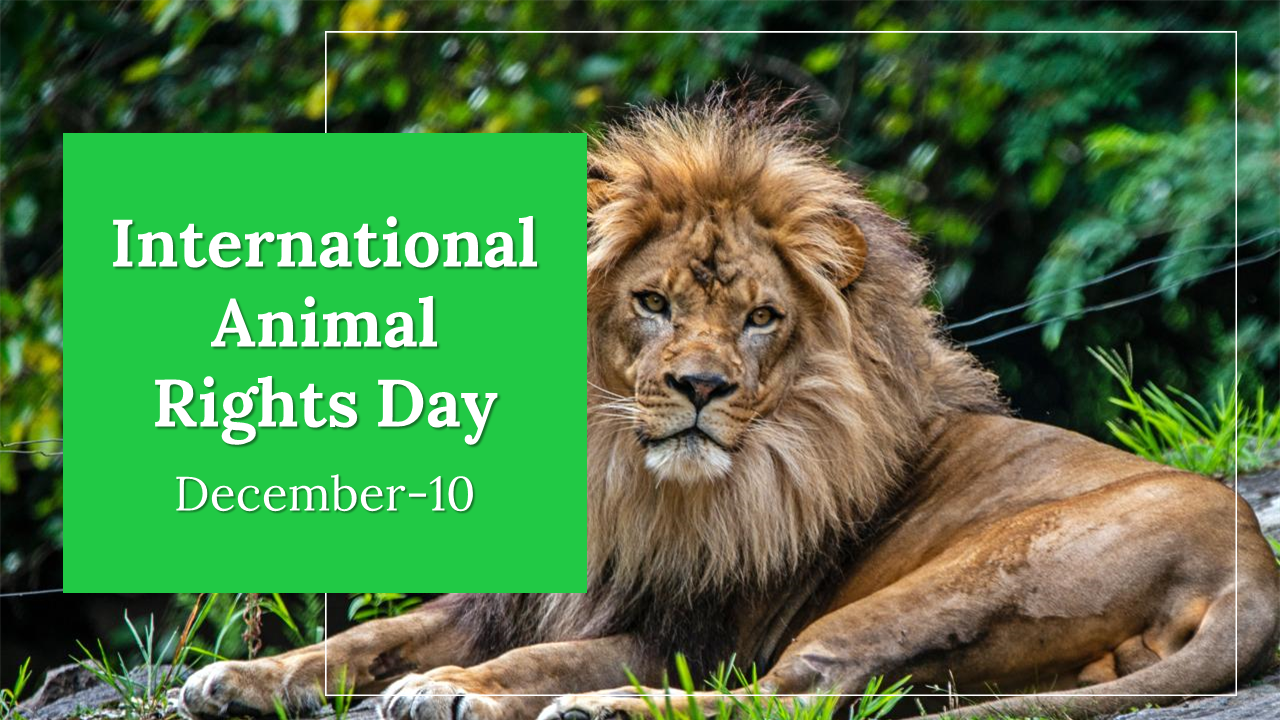 Get International Animal Rights Day PowerPoint Template