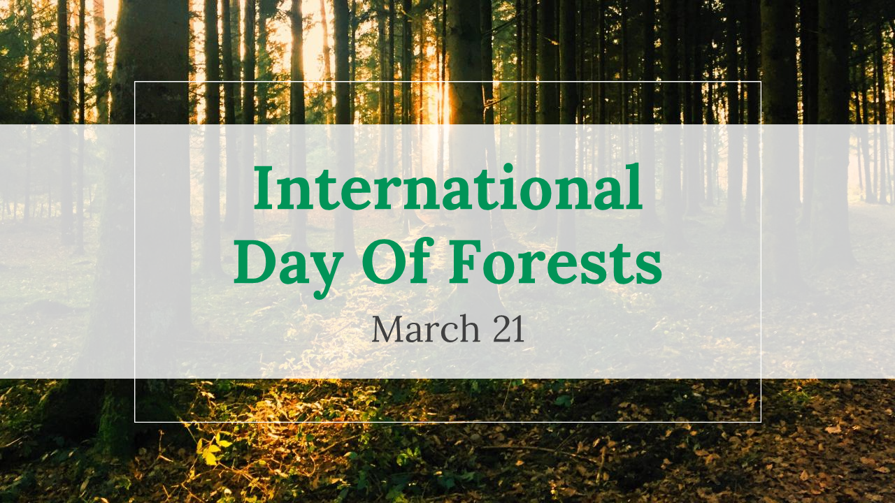 International Day Of Forests