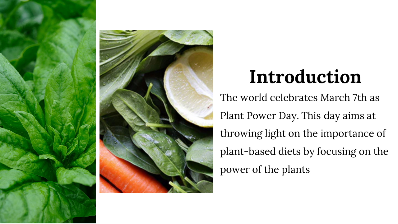 400061-World-Plant-Power-Day_04