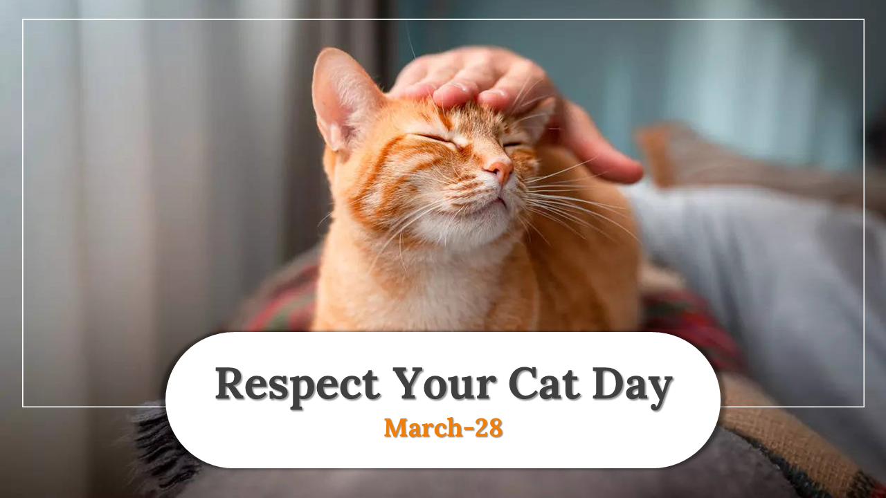 Respect Your Cat Day