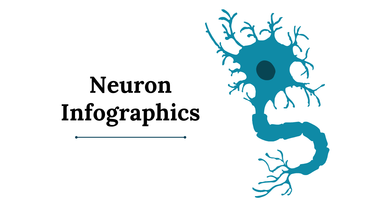 Neuron Infographics