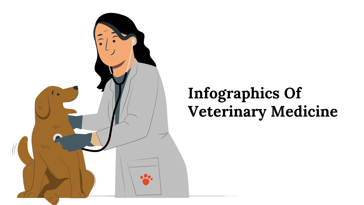 Infographics Of Veterinary Medicine