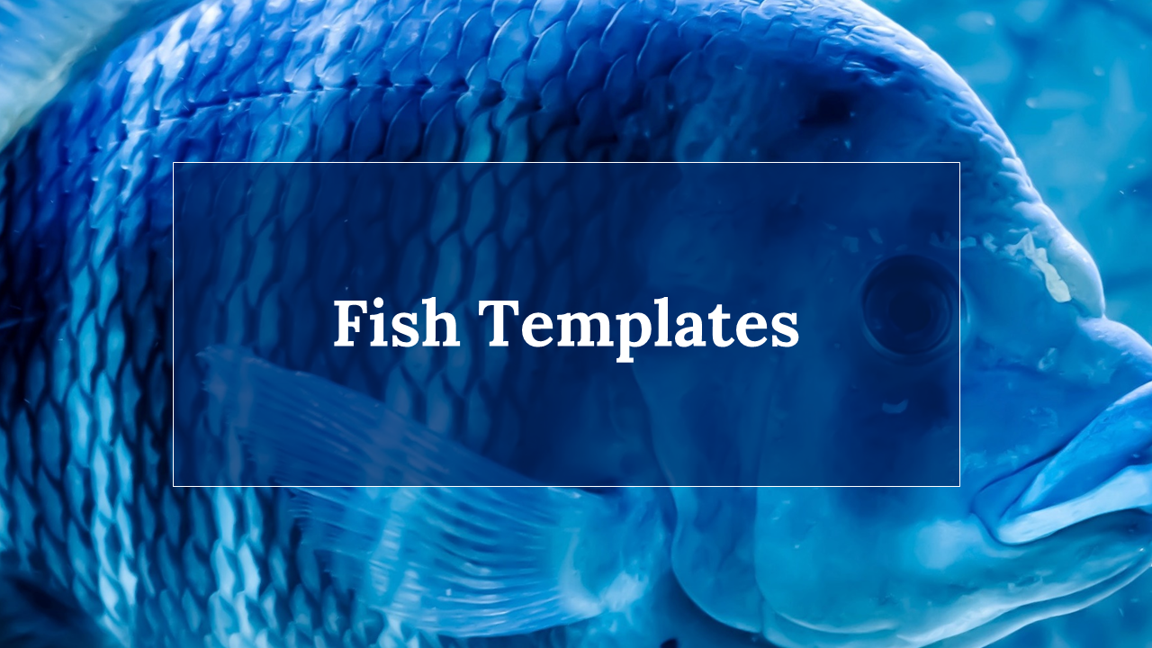 Fish Templates