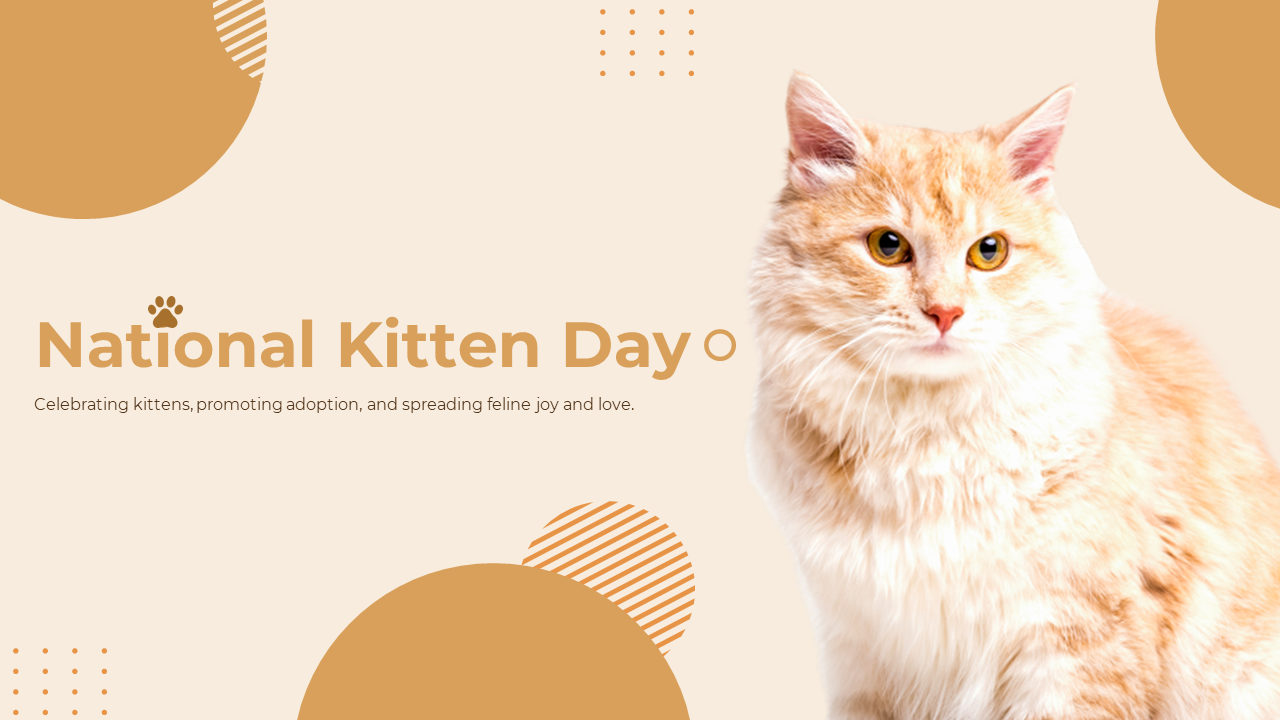 National Kitten Day