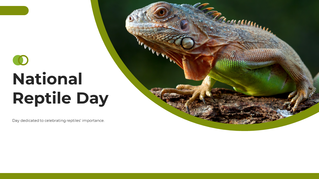 National Reptile Day