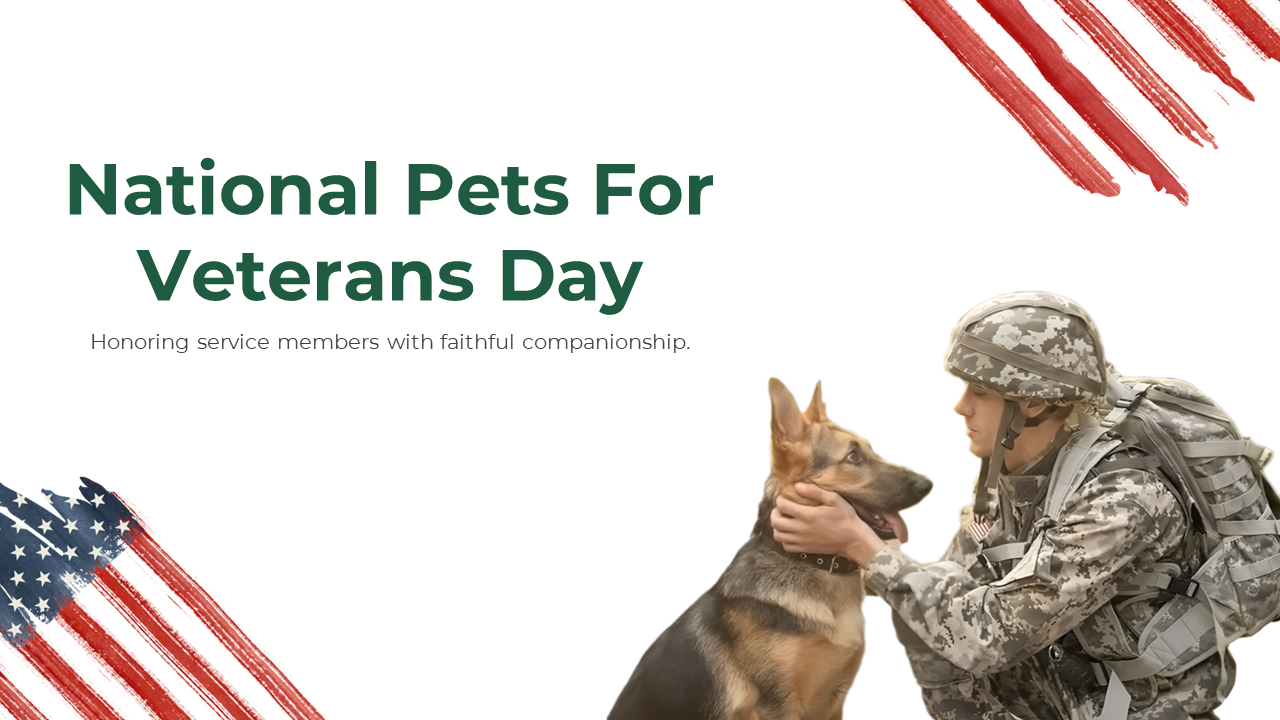 National Pets For Veterans Day