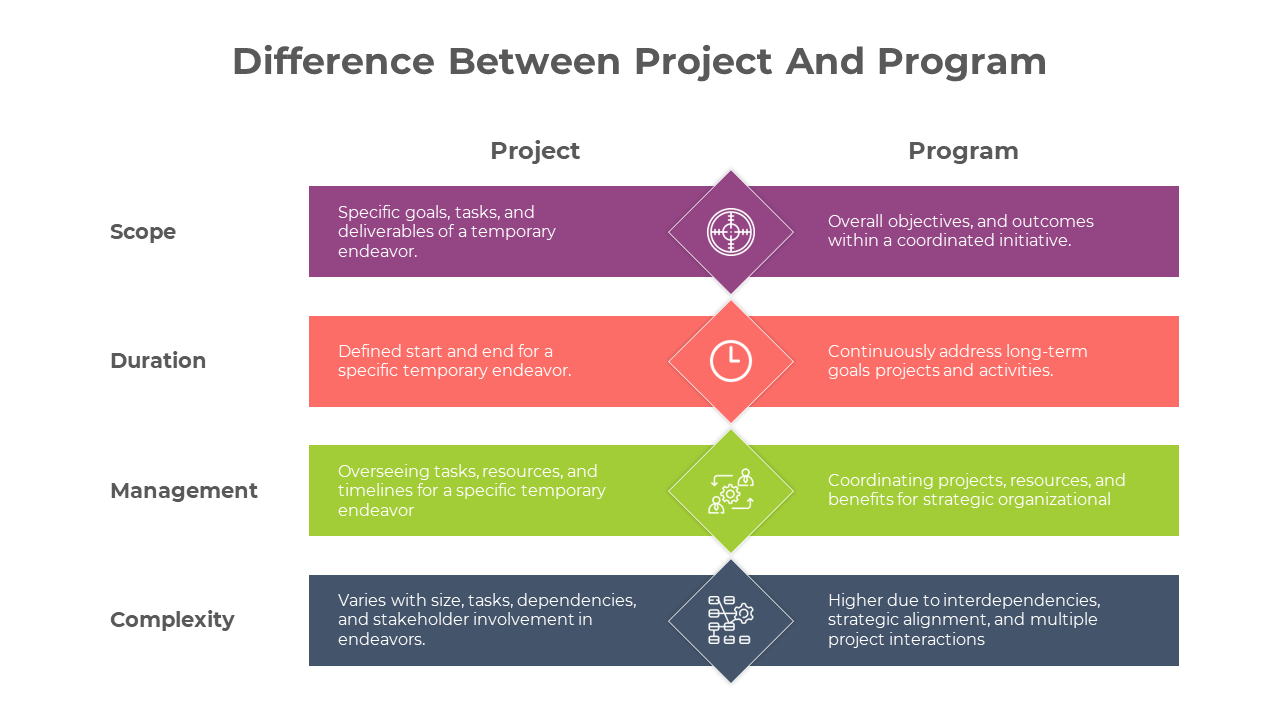 Program Vs Project Infographics