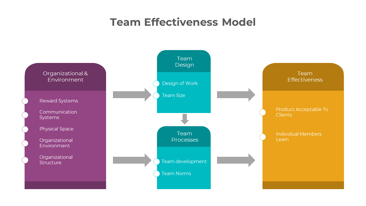 Team Effectiveness Model