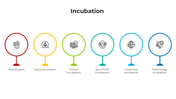101101-incubation-02