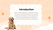 101119-national-golden-retriever-da-02
