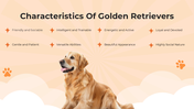 101119-national-golden-retriever-da-03