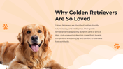 101119-national-golden-retriever-da-04