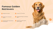 101119-national-golden-retriever-da-06