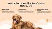 101119-national-golden-retriever-da-07