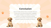 101119-national-golden-retriever-da-10