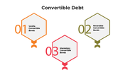 101123-convertible-debt-04