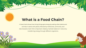 101206-biology-subject-for-pre-k-food-chain-02