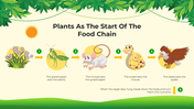 101206-biology-subject-for-pre-k-food-chain-03