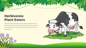 101206-biology-subject-for-pre-k-food-chain-04