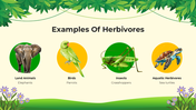 101206-biology-subject-for-pre-k-food-chain-05
